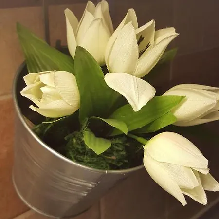 Home, Far Away From 2 Appartement